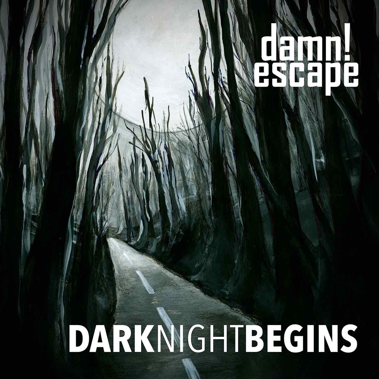 DarkNightBegins